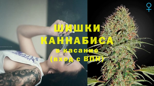 мет Инсар