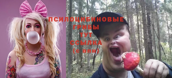 ECSTASY Иннополис