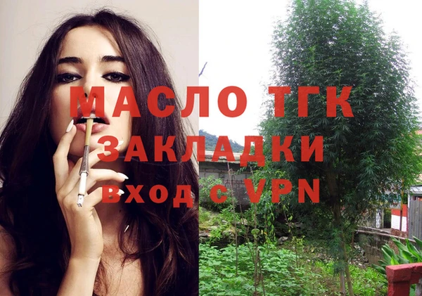 мет Инсар