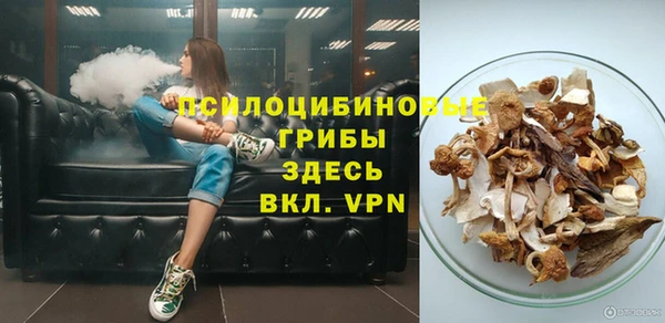 мет Инсар
