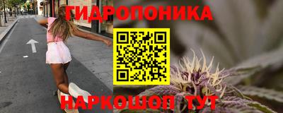 СК Рузаевка