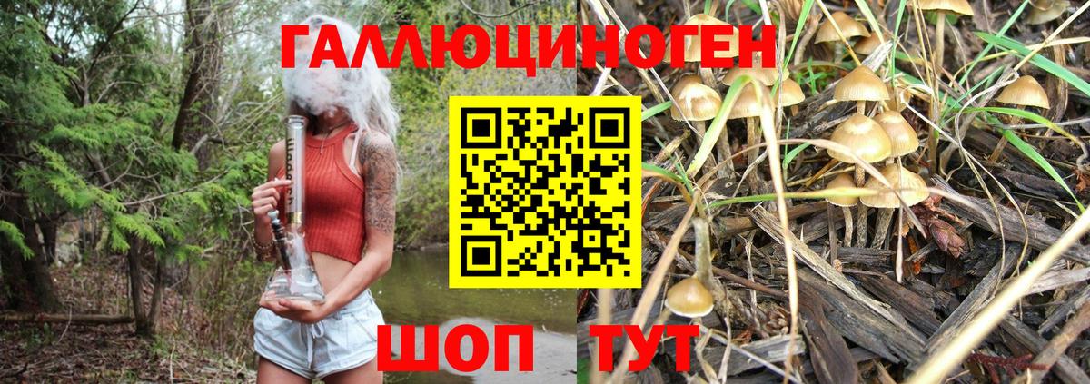 Рязань  купить наркотик  Вход с VPN  Псилоцибиновые грибы Psilocybe 