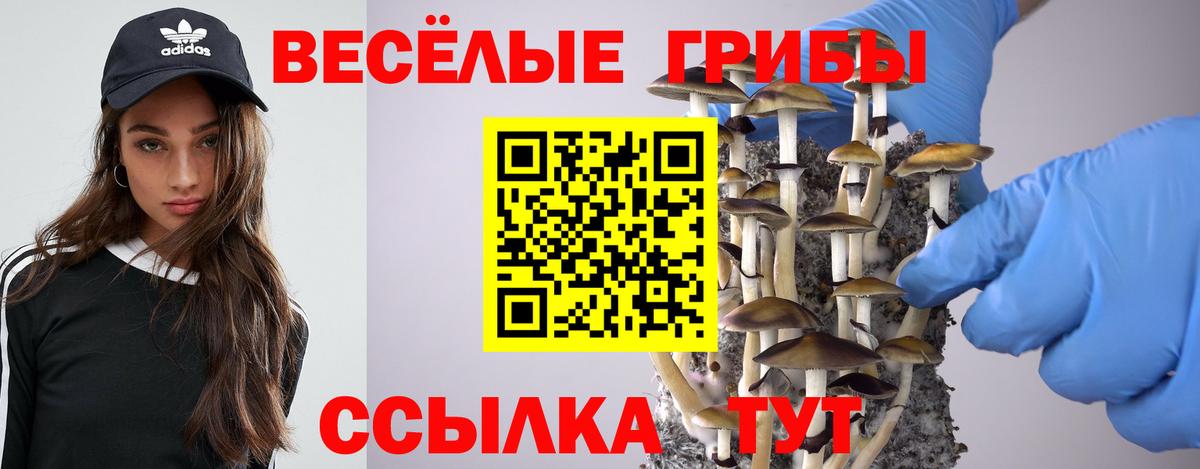 Галлюциногенные грибы ЛСД Рязань